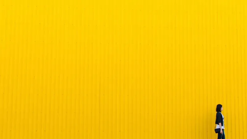 哈尔滨冰雪大世界冬季视觉官方宣传画册 - 项目实物图